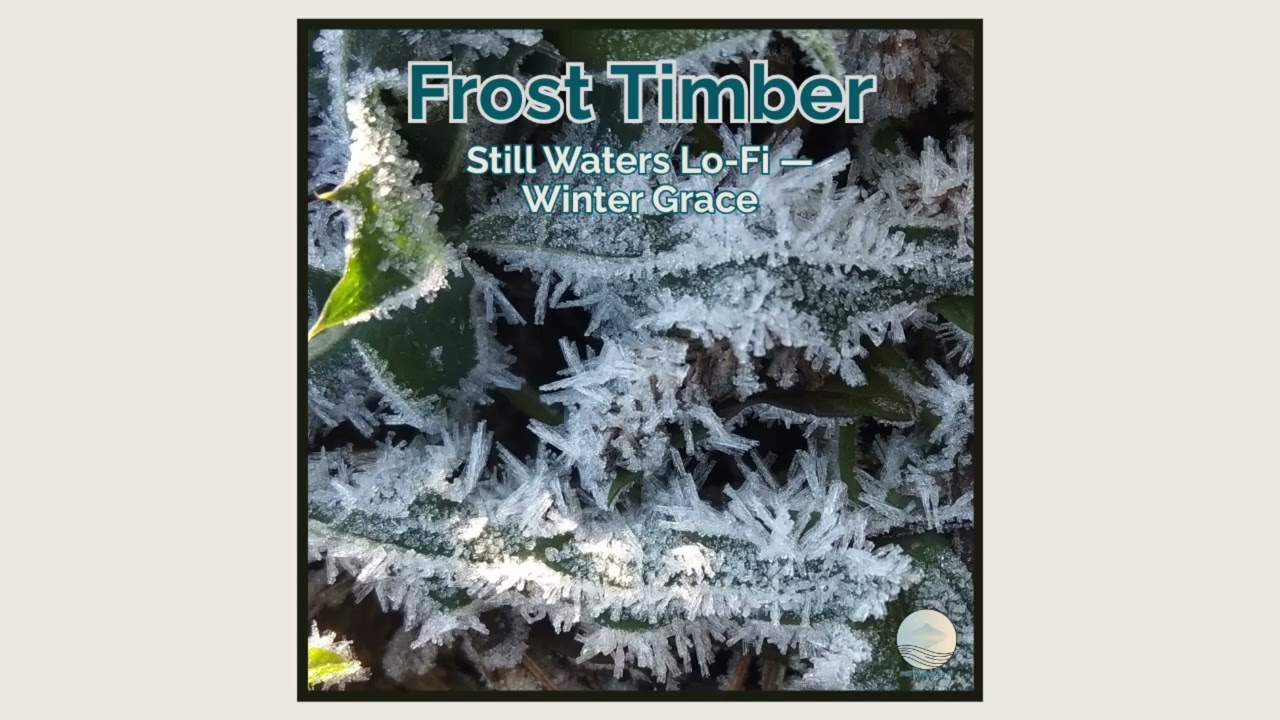 Frost Timber — Winter Grace