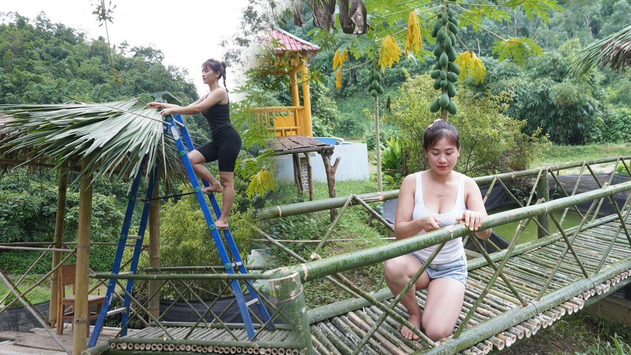 CEO Girl Build New Cabin Replace Old Fish Hut And Bridge - Harvest Jackfruit, Custard Apple