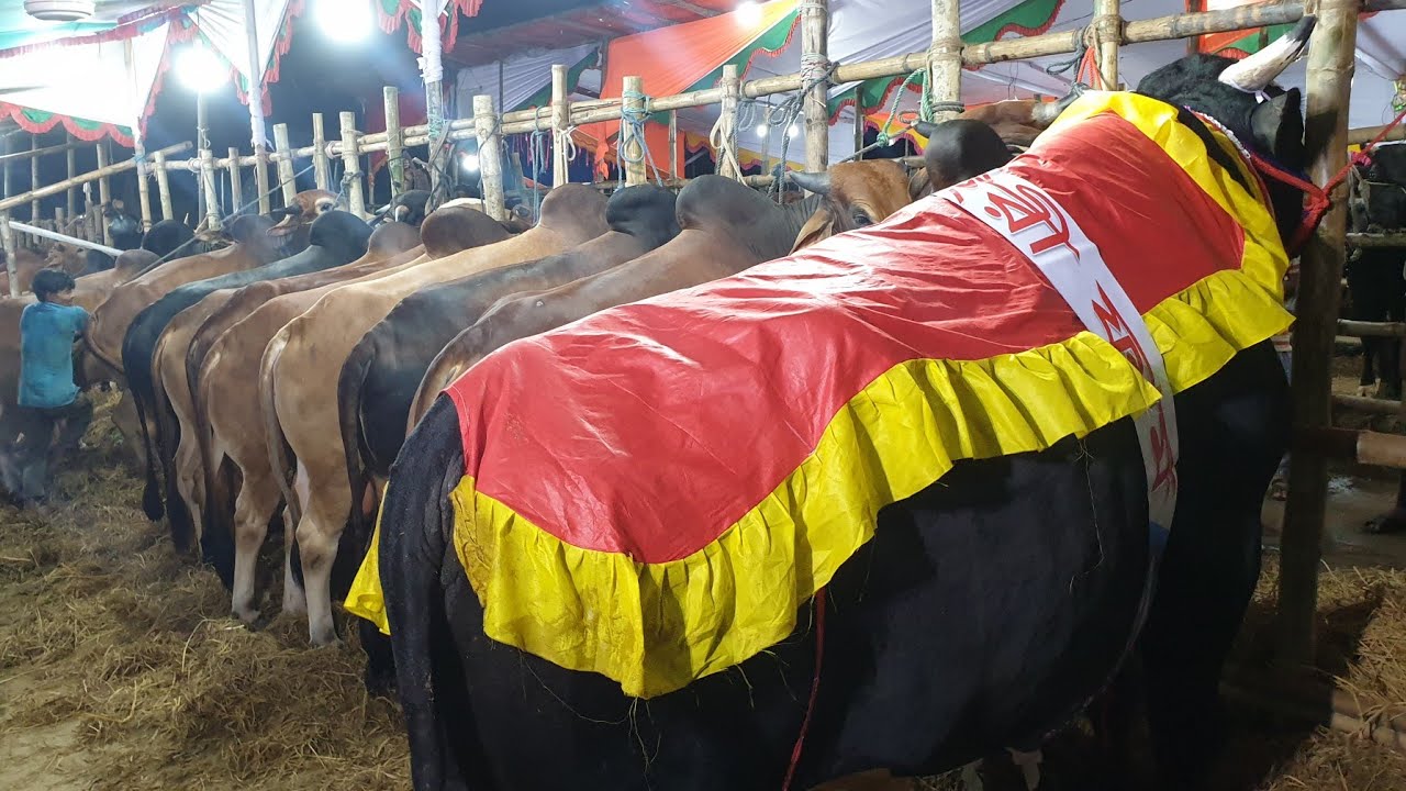 সিলেট সেরা কাজির বাজার 