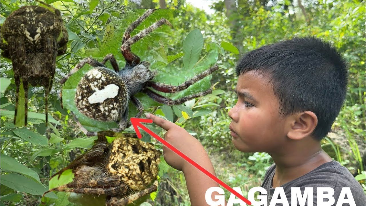 MADAMI ANG GAGAMBA SA PINUNTAHAN NAMIN NA BAGONG SPOT