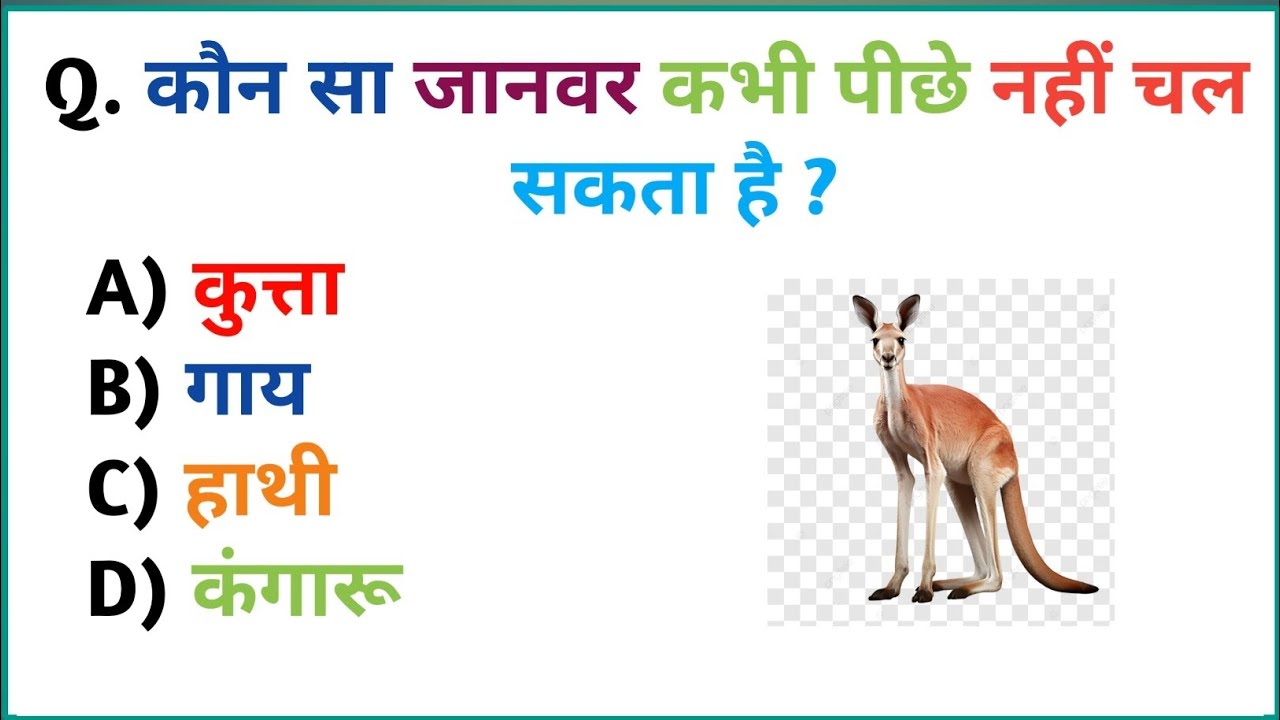 GK Question || GK In Hindi || GK Question and Answer || GK Quiz ||