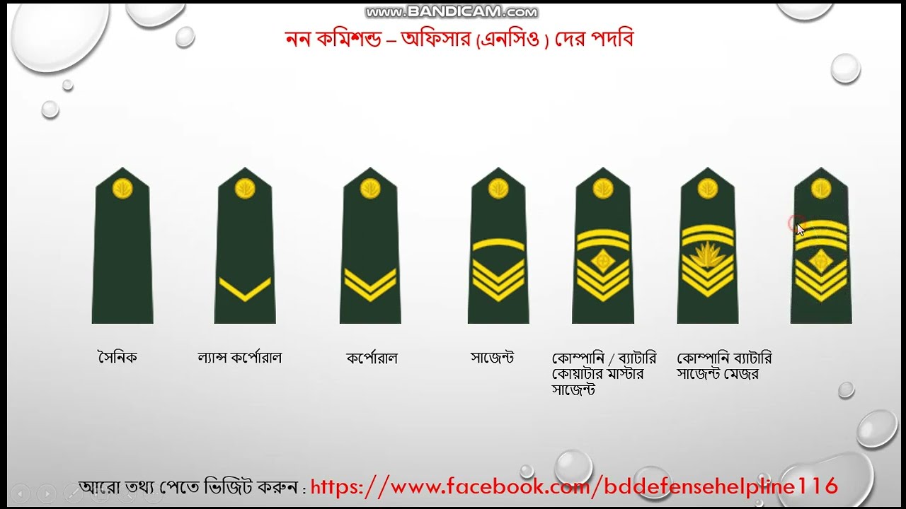 BD Army All Rank , Soldier to General All Rank , NCO Rank , JCO Rank , CO Rank