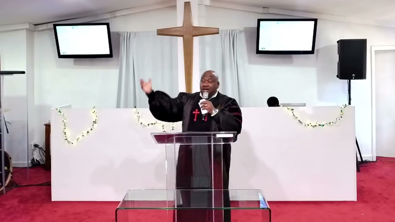Thrive Today: Rejoice! Rejoice!
