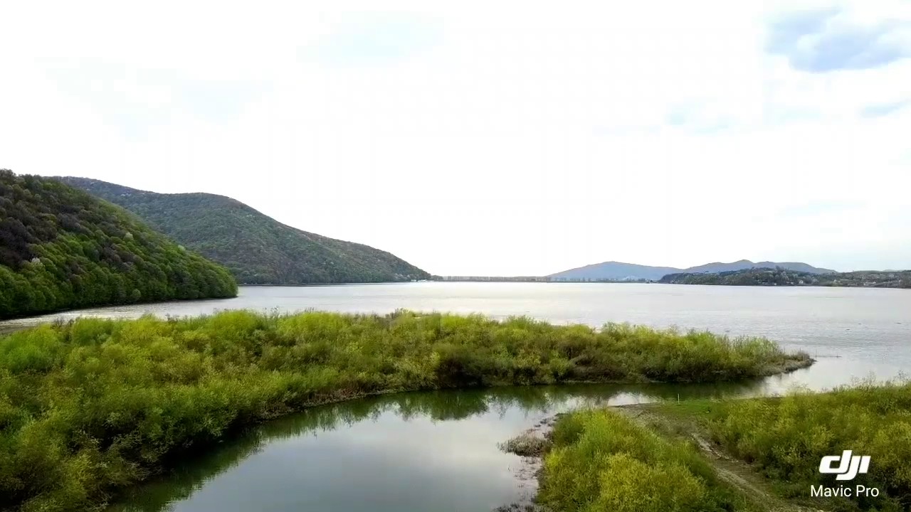 Tara Oasului