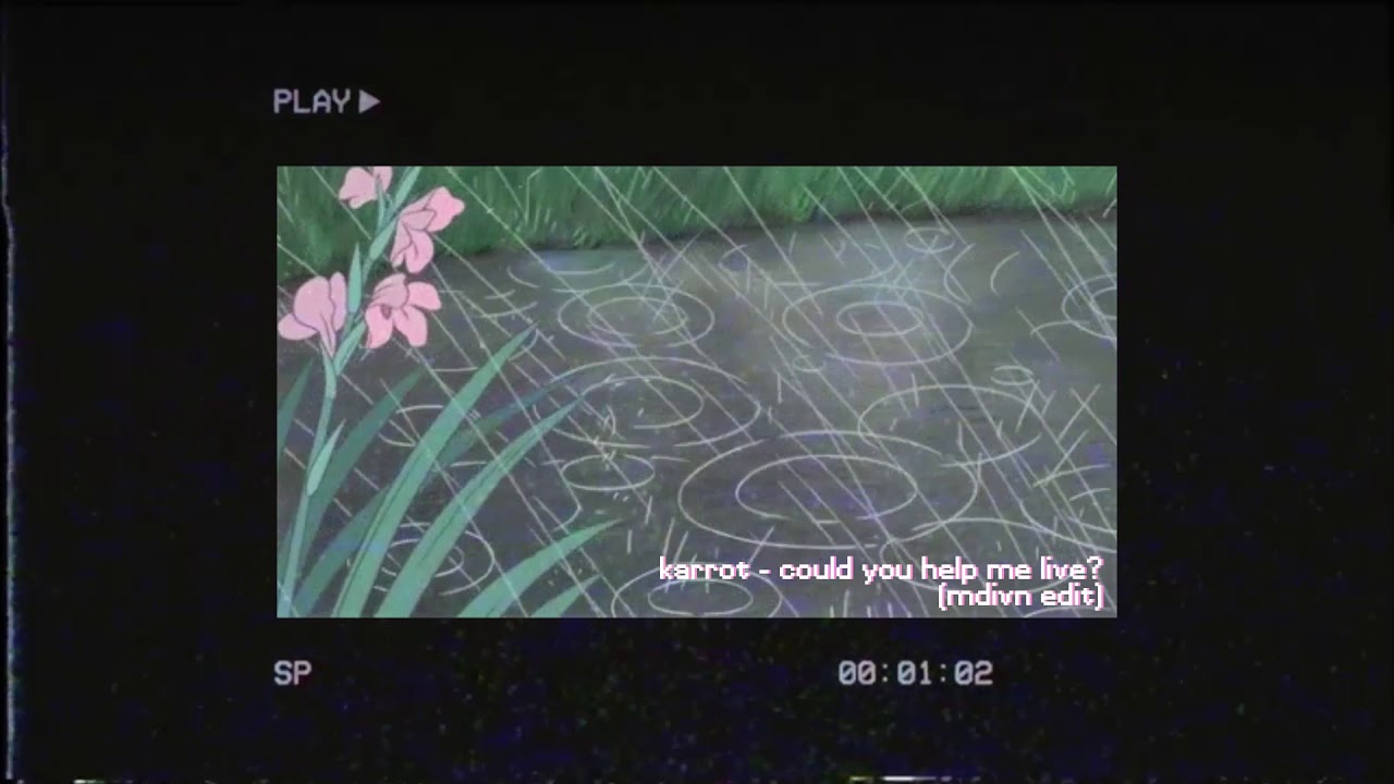 karrot - could you help me live? (MDIVN Edit)