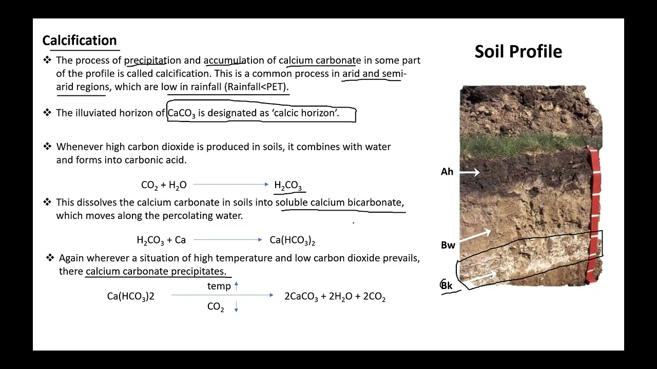 Specific pedogenic processes | #calcification  and #De-Calcification | #soilscience #soa