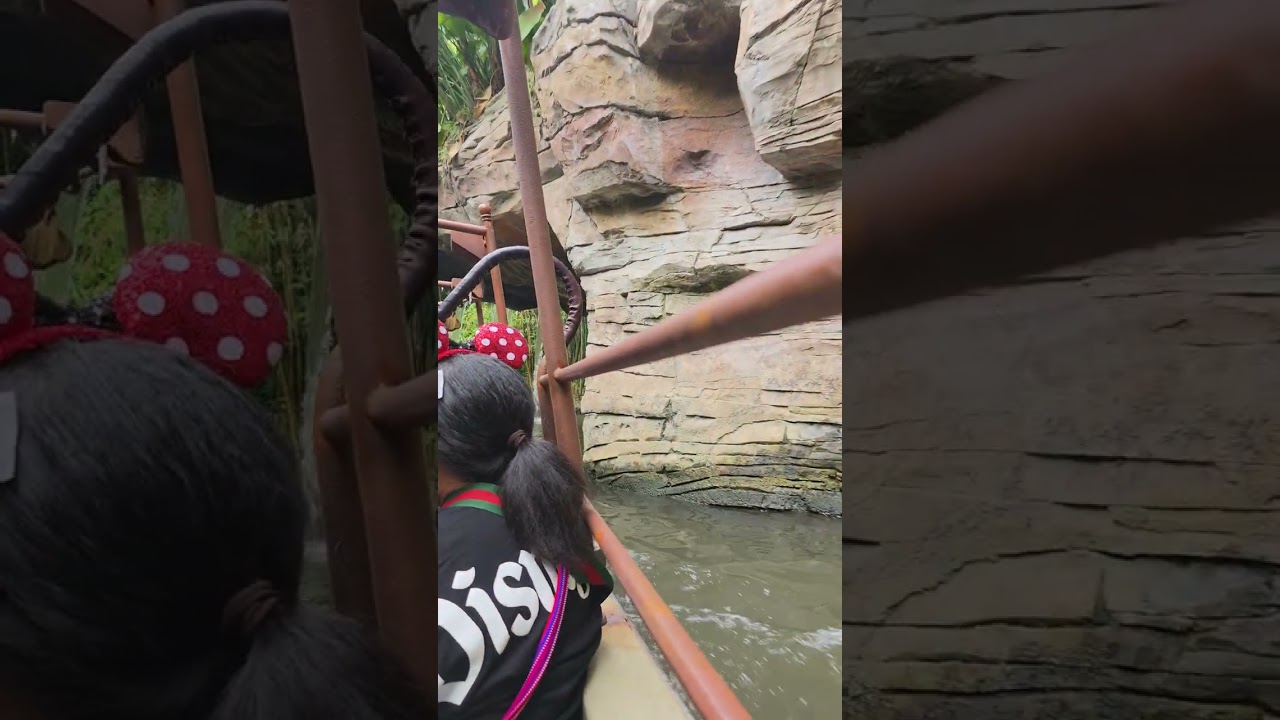 Disneyland jungle river tour. 