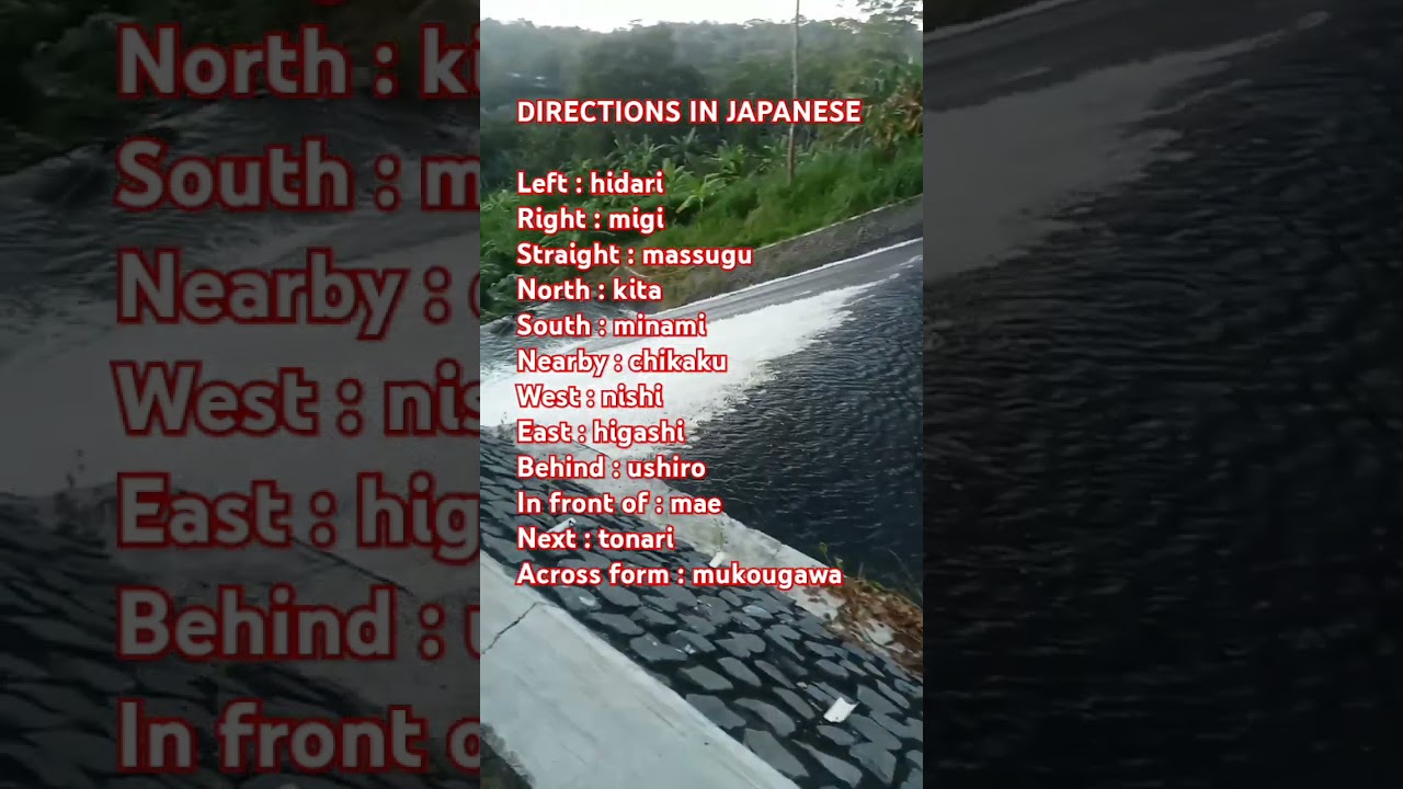 directions in japanese #youtubeshorts #japan #japanese #shorts #short #shortvideo #viralvideo #fyp