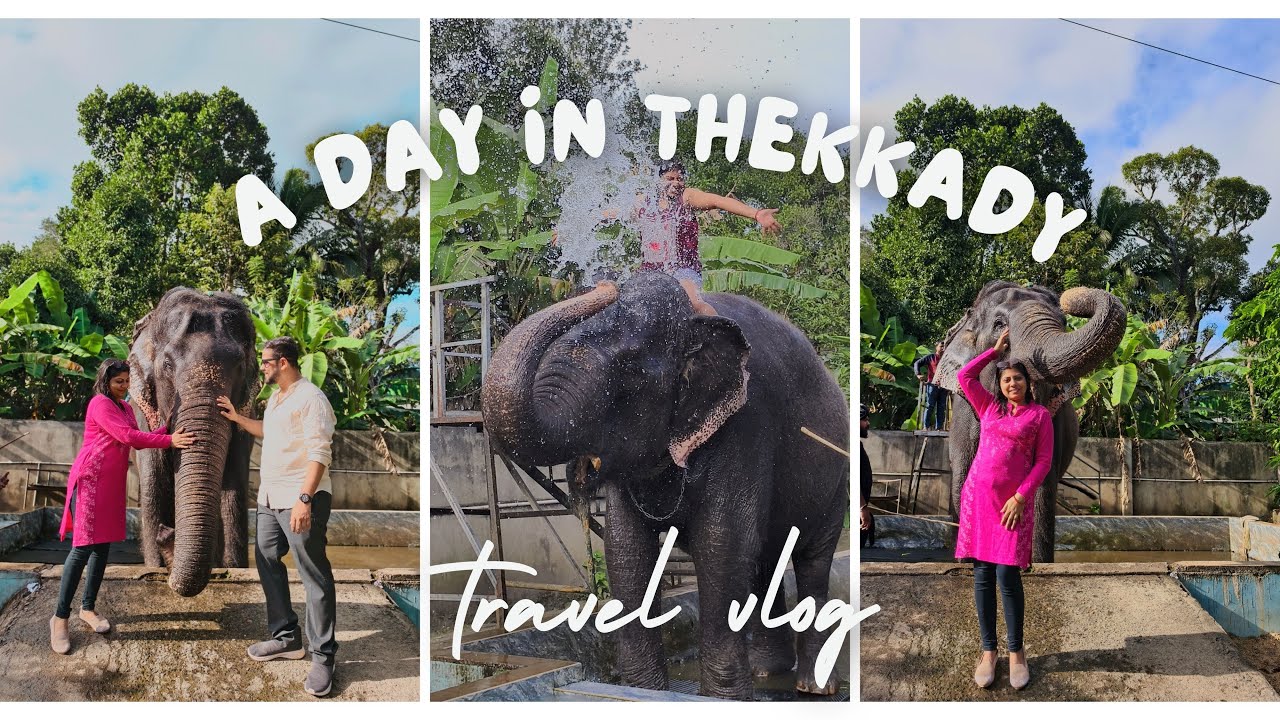 Kerala ରେ 3rd ଦିନ | Munnar to Thekkady | Elephant shower | That Viral Couple