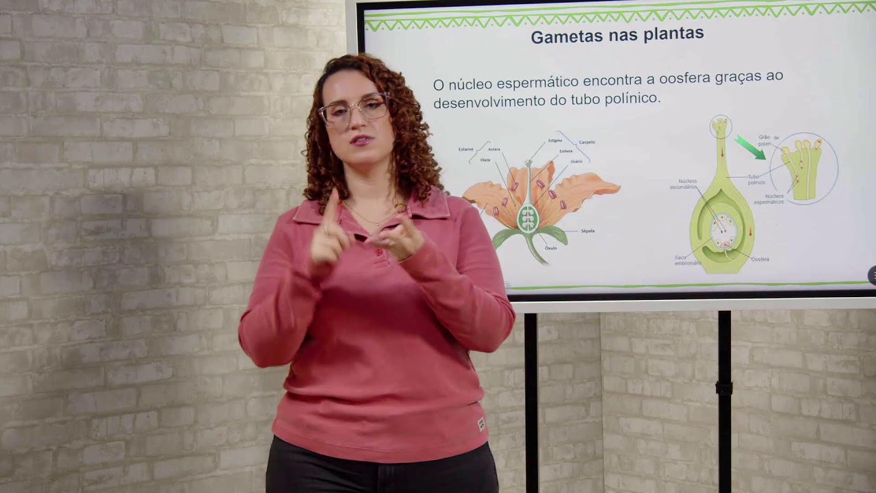 🔴 MANHÃ - CIÊNCIAS - 13.02.26 - 9º Ano