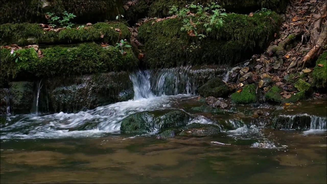Entspannungsmusik: Tiefenentspannung, Stressabbau, meditationsmusik