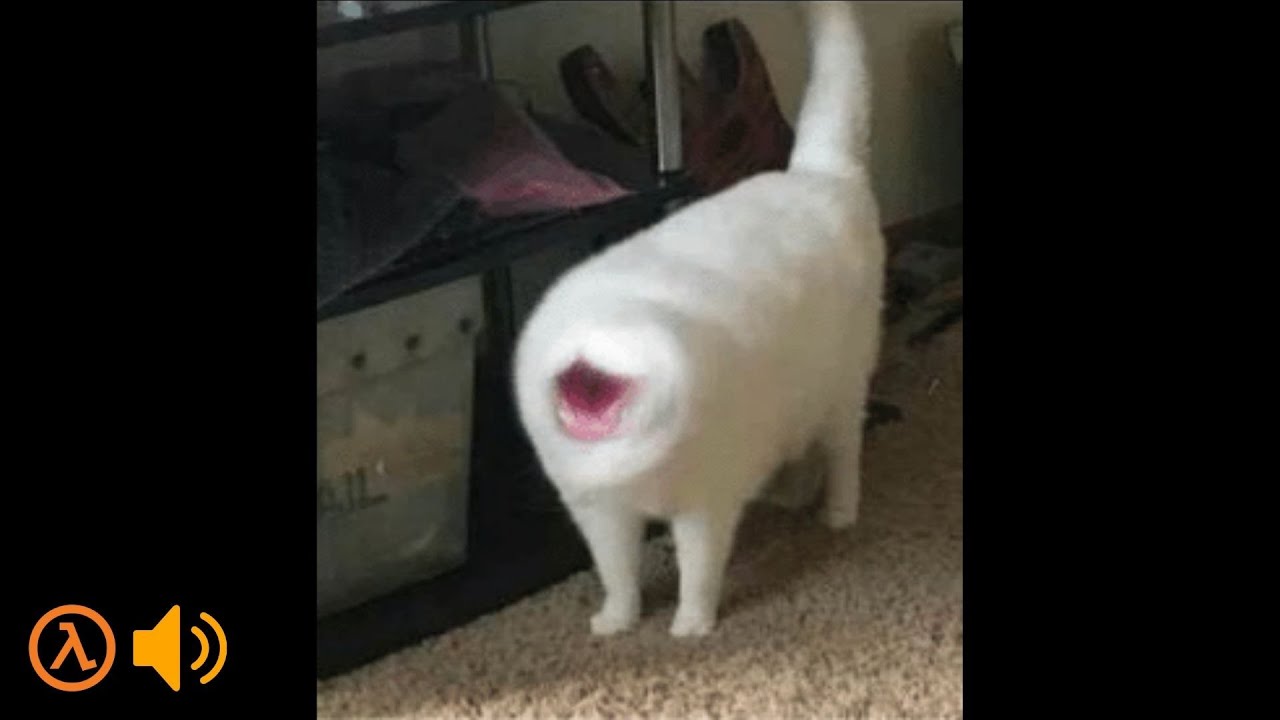 Houndeye Cat [Half-Life SFX]