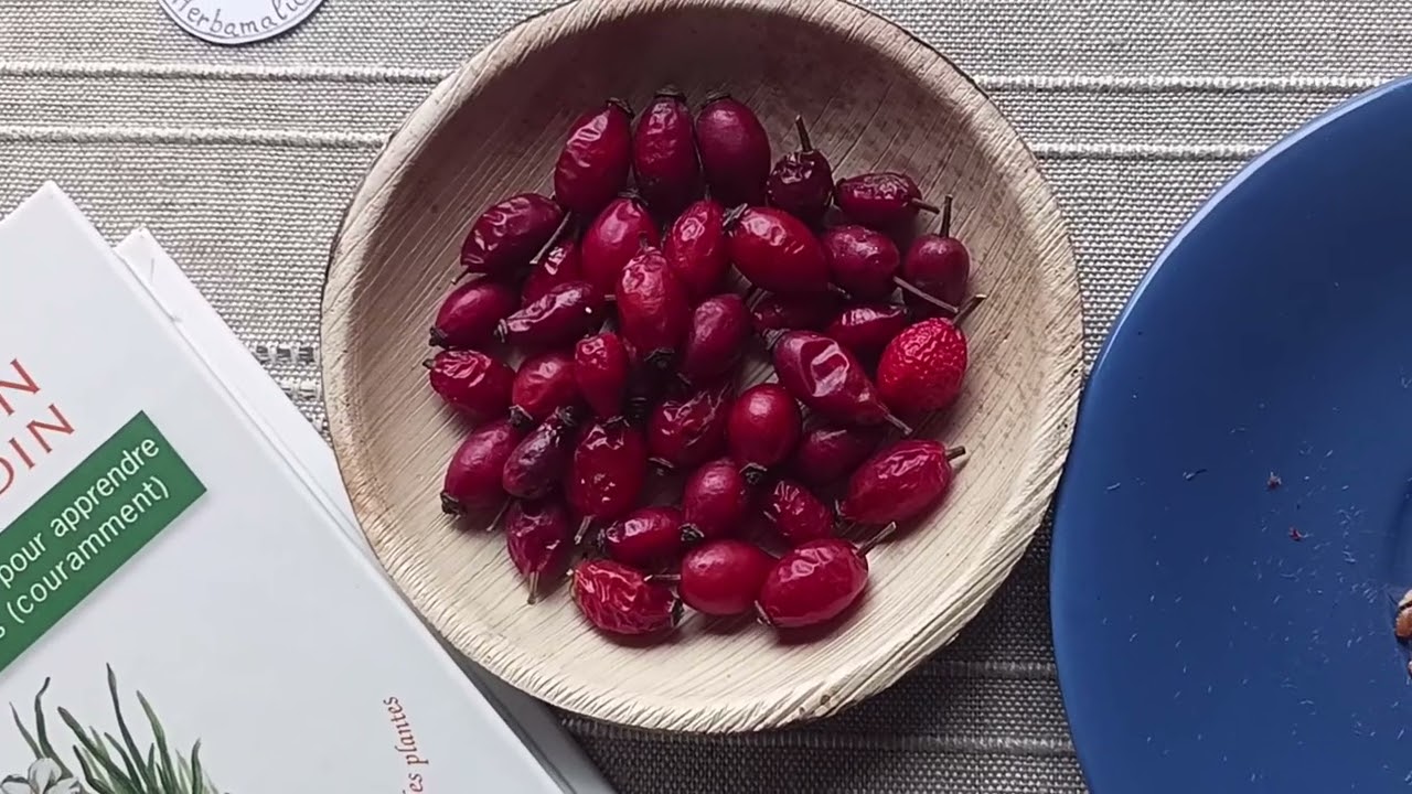 Cynorrhodons séchés, instant plaisir !
