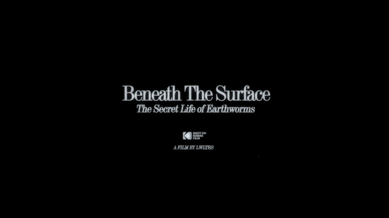 Beneath The Surface: The Secret Life of Earthworms