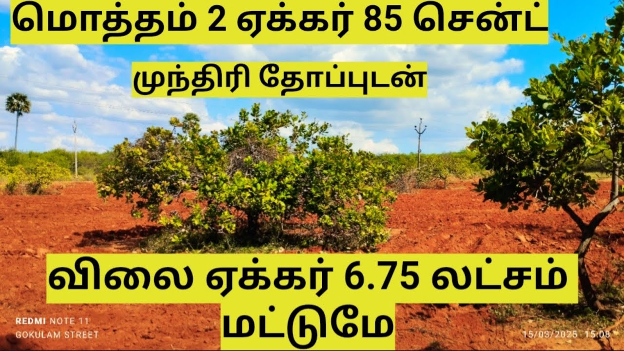 வெறும் 6.75 லட்சம் மட்டுமே 2 ஏக்கர் 85 சென்ட் முந்திரி தோப்புடன்
