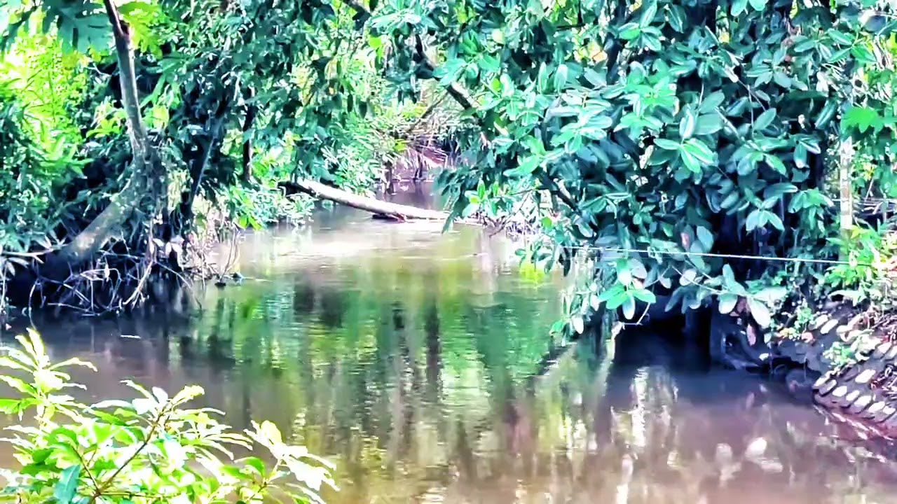 MANCING ALA KADARNYA🐟☺️ [Part 12]