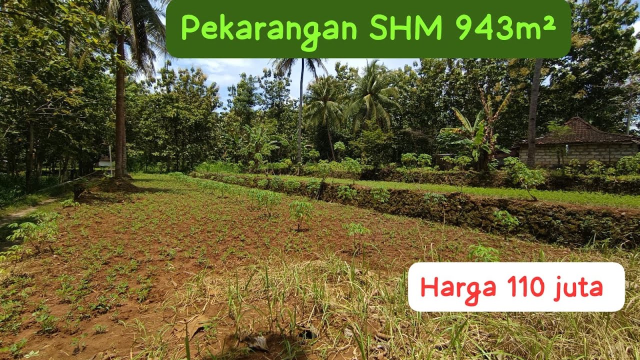 🔴Pekarangan Dekat Jalan Raya Cocok Buat Rumah Tinggal #jualtanah #tanahmurahgunungkidul 