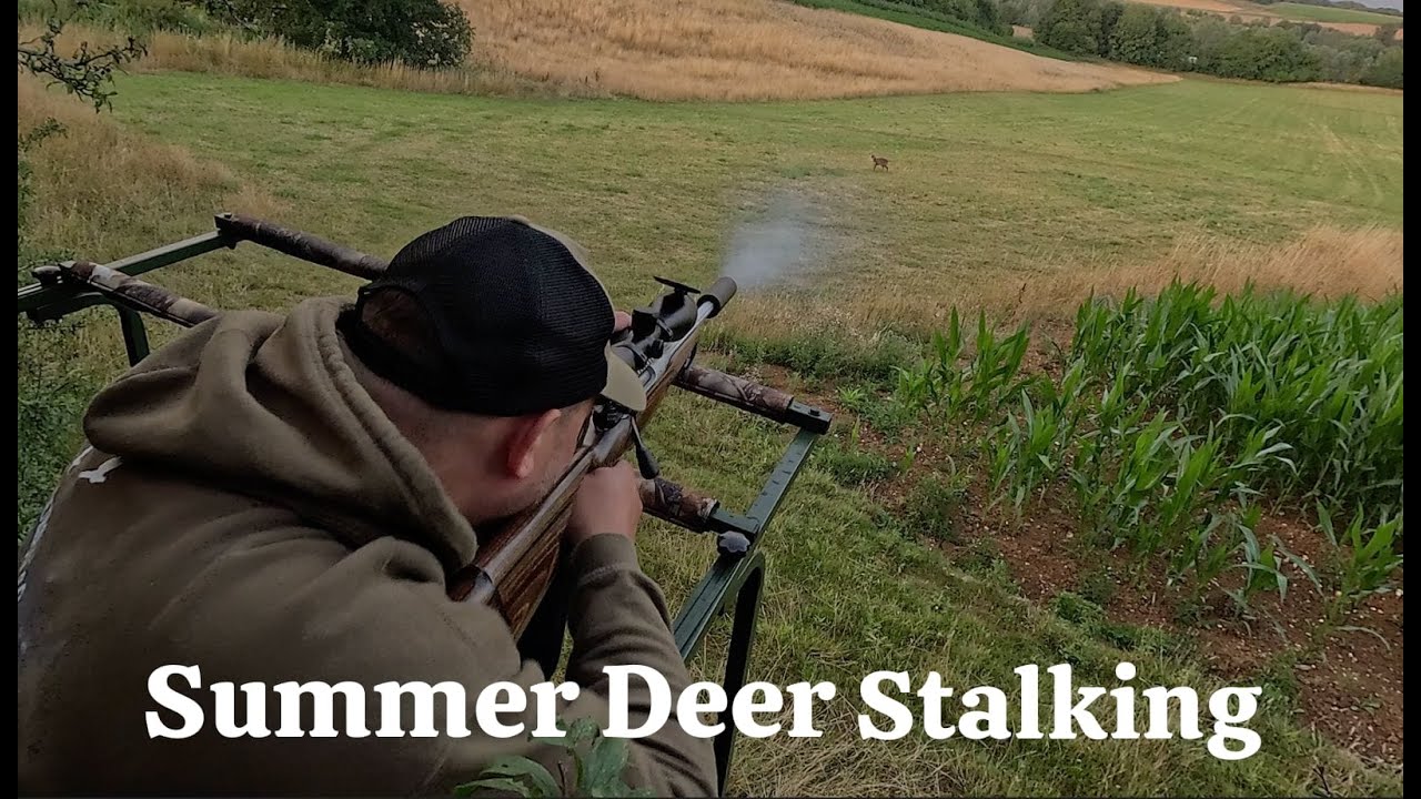 High seat & Summer Deer Stalking