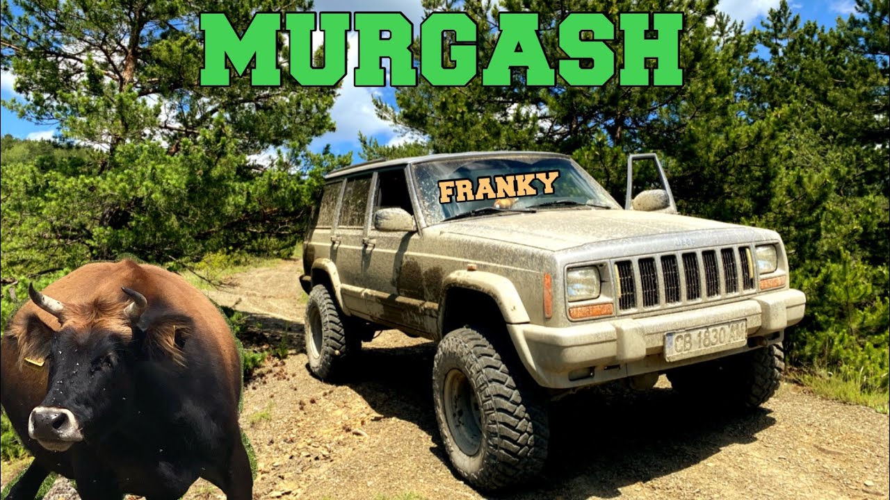 [OFF ROAD BG] 28.06.2020 Sofia - Buhovo - Murgash