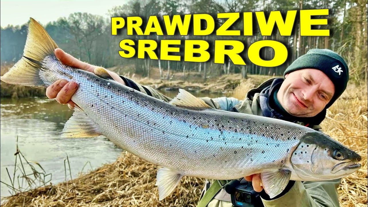 WALKA z RYBĄ MARZEŃ !!! Dwa dni Szlakiem TROCI | luty 2025 spinning rzeka Ina