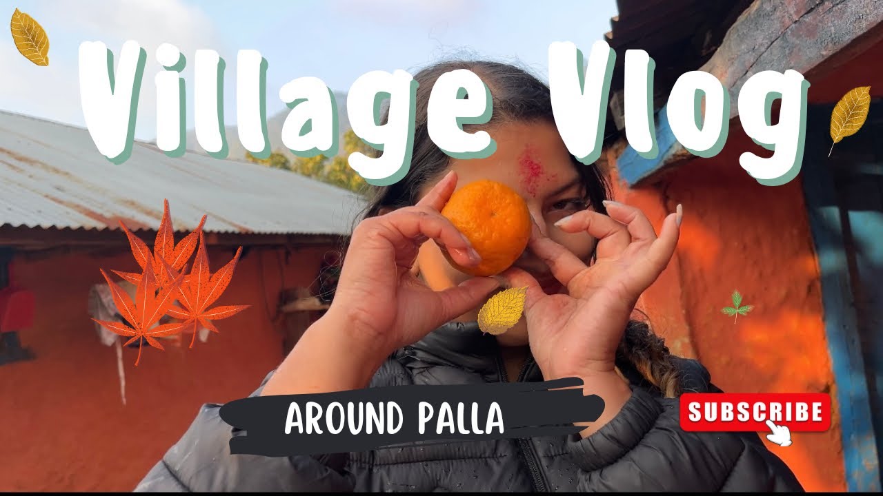 Organic food collection in village, Vlog 
