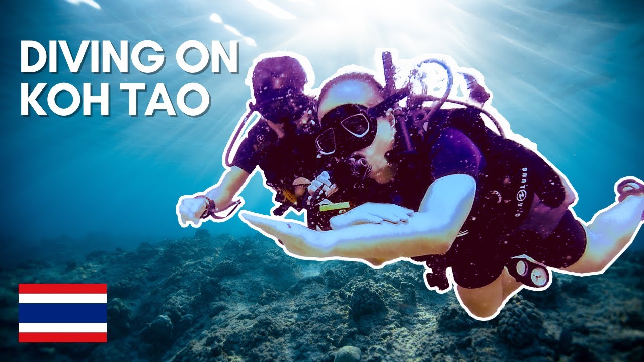 From zero to ADVANCED OPEN WATER DIVER in 5 DAYS! (KOH TAO SCUBA DIVING at SAIREE COTTAGE DIVING)