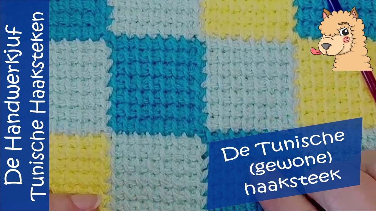 De Tunische (gewone) haaksteek