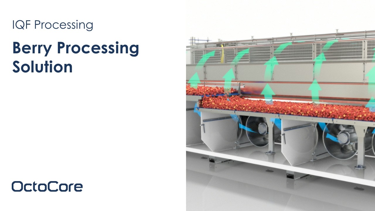 OctoFrost™ IQF Freezing for Berries | IQF Freezer for Strawberries | 3D Visualization