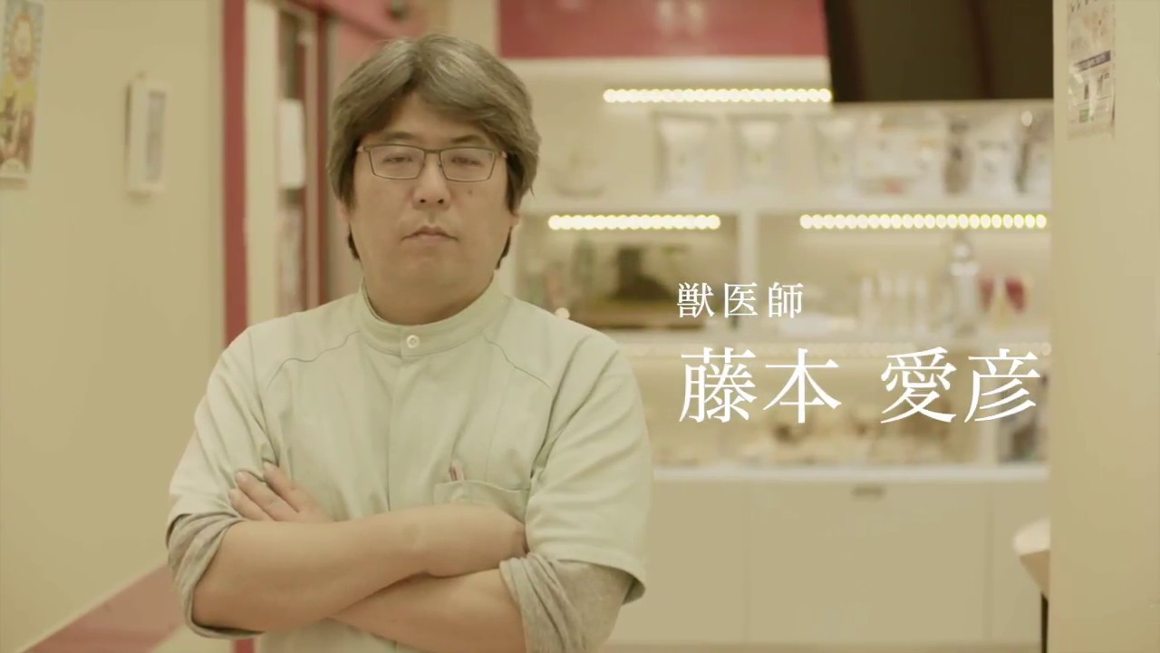 犬の「皮膚病治療」革命。TV番組(スーパードクター/TOKYO MX)にて特集。