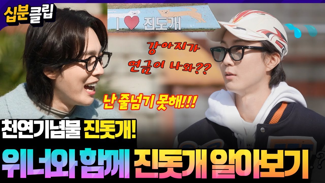 [#십분클립] 위너와 함께 보는 진도의 개, 진돗개🐕 난데없이 펼쳐진 네 자매의 아빠 개를 찾아라!?😵ㅣ KBS방송