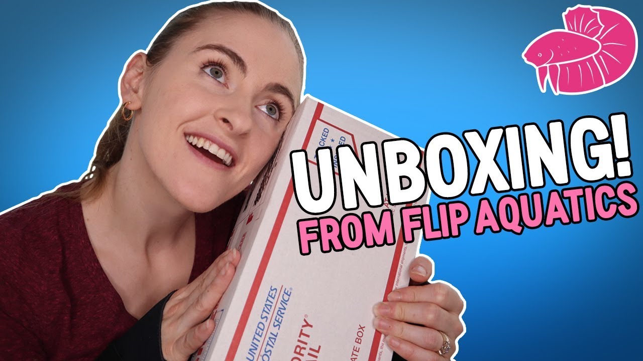 Flip Aquatics Unboxing! Awesome Aquatic Plant Haul