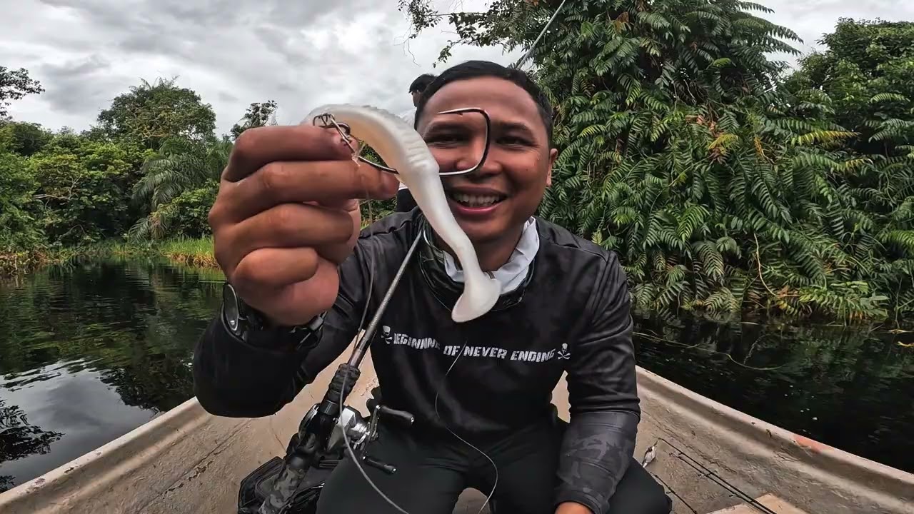 18 ekor Toman Pesta Casting Toman Sungai Air Hitam Sabah