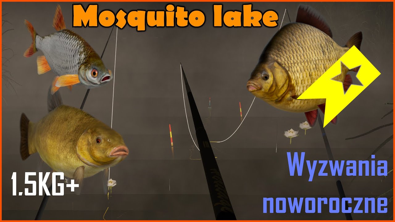 Wyzwania noworoczne - Lin Płoć Karaś #8  Mosquito lake - Komarówka Russian Fishing 4 rf4
