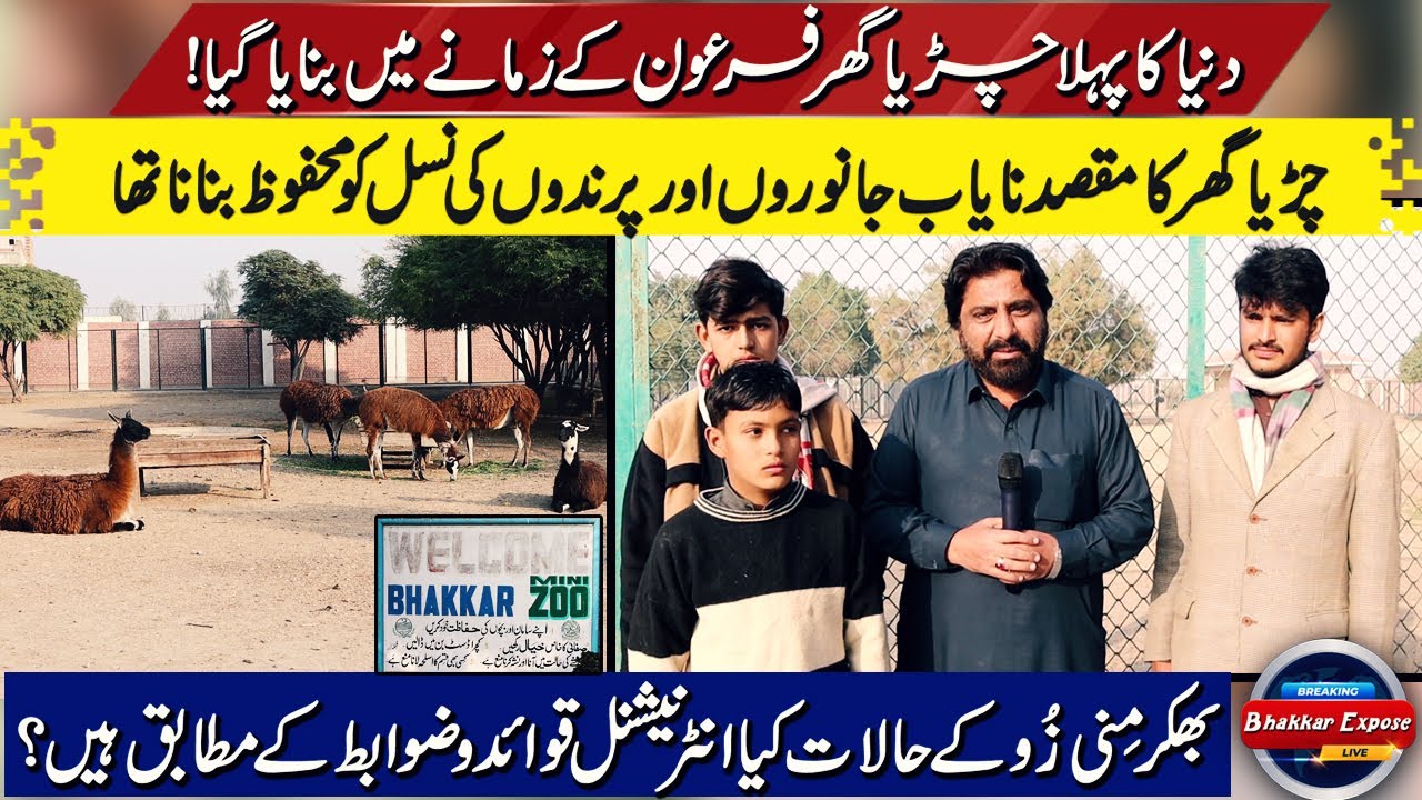 Bhakkar Mini Zoo | Full View in Mini Zoo Bhakkar | Bhakkar Expose