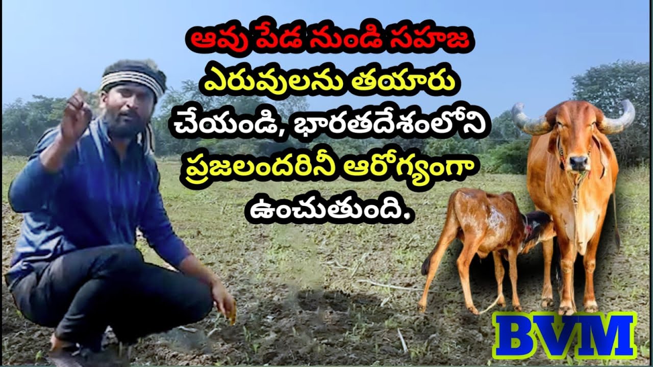 Save Desi Cow| COW | BVM CREATIONS | BVM Siva Shankar | Telugu