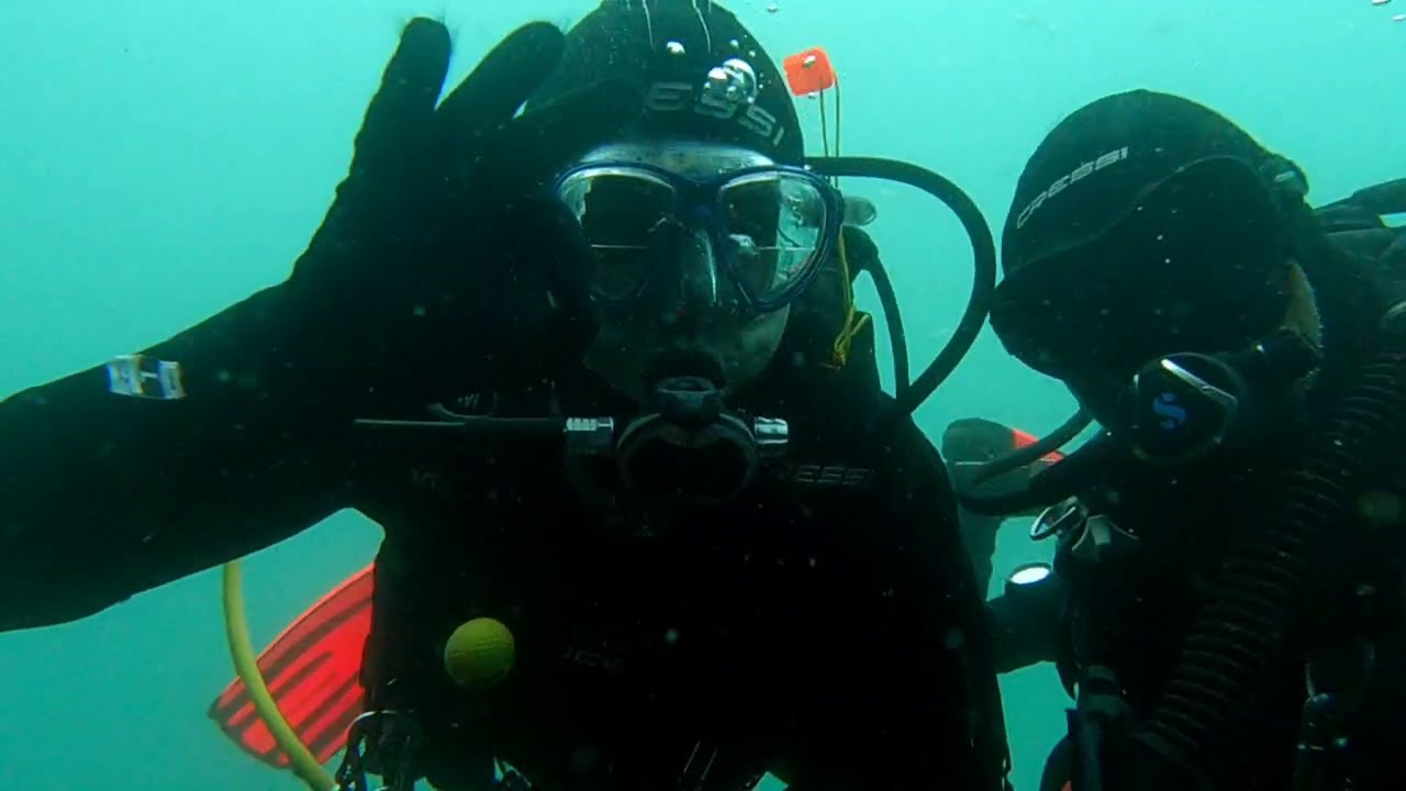 Inmersiones en La Herradura , con Slow Diving La Herradura 24 junio 2024