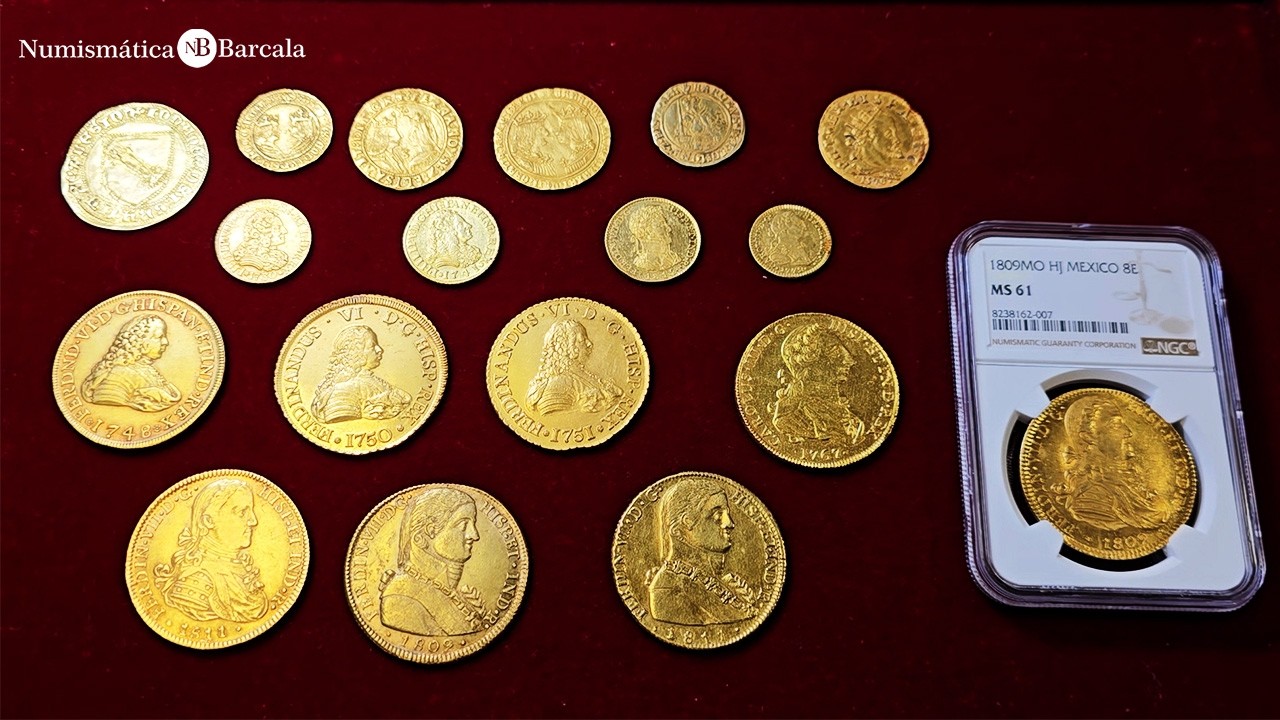 ✨ ¿LAS MEJORES MONEDAS DE ORO? | Selección Numismática Barcala