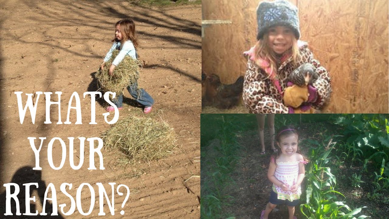 Why We HAVE a  Modern Homestead!