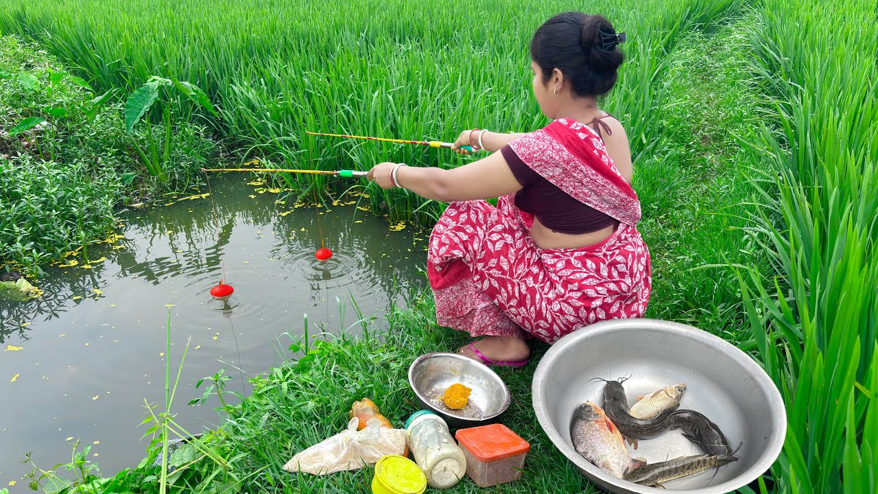 Unique hook Fishing🎣🎣|| Beautiful villige lady fishing in the paddy field water using two sticks