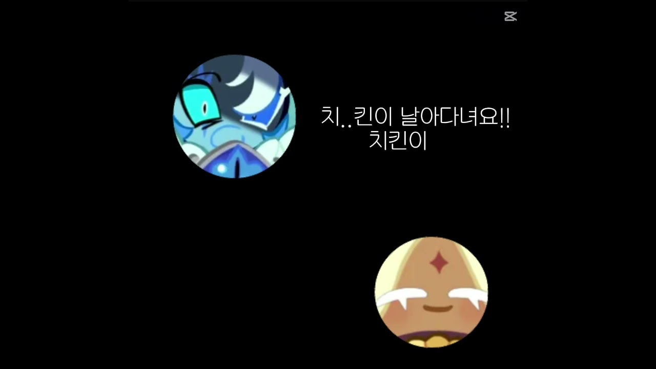 퓨바칙힌