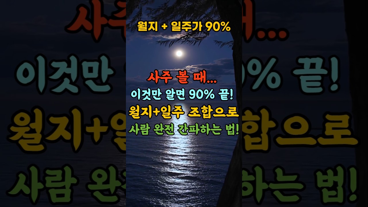 사주 볼 때 이것만 알면 90% 끝! 월지+일주 조합으로 사람 완전 간파하는 법