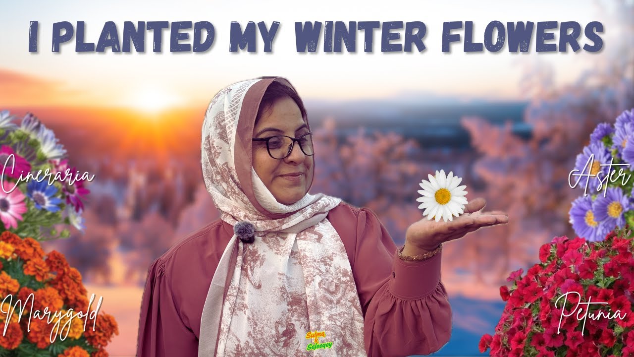 How to plant flowers in Winter | Marigold | Petunia | Aster | Cineraria