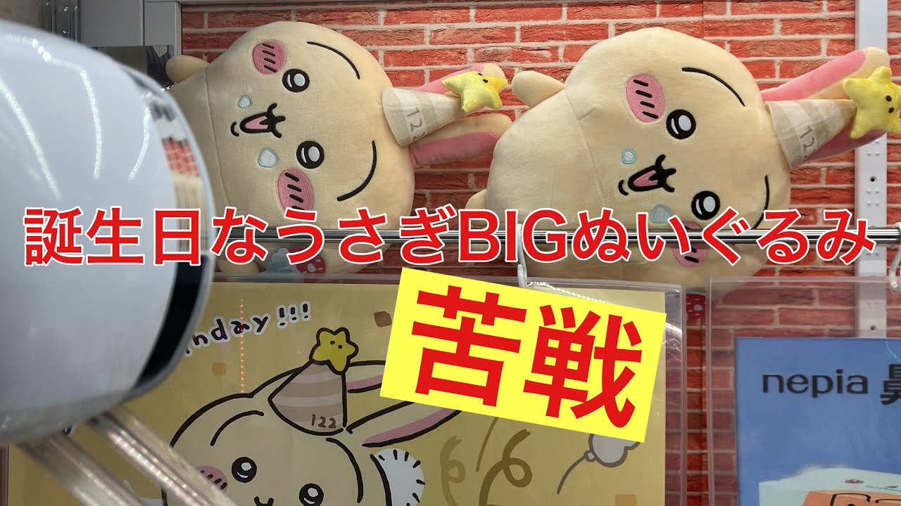 【クレーンゲーム】1/25 誕生日なうさぎBIGぬいぐるみ　苦戦するもGET #万代書店岩槻 #クレーンゲーム動画