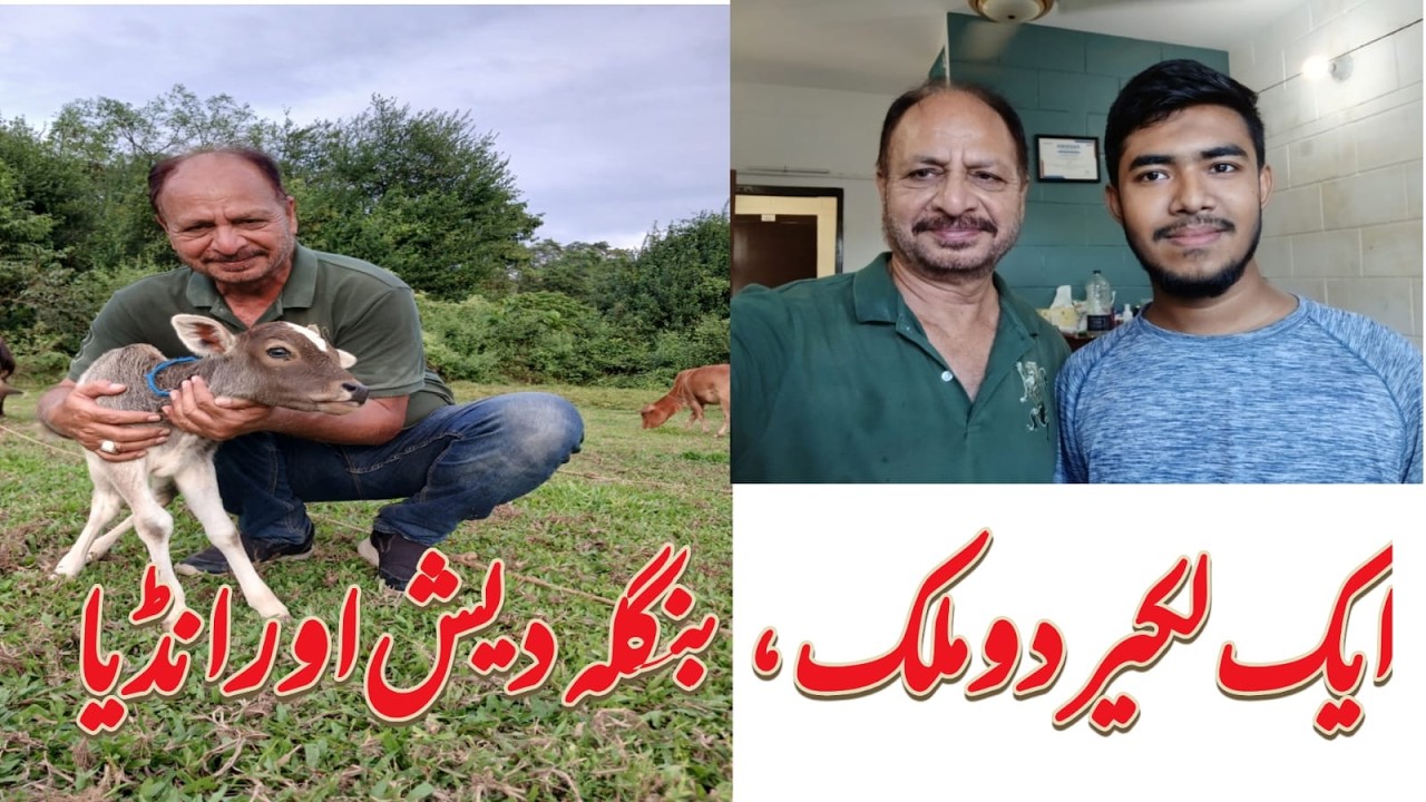A Day at Bangladesh and Indian Border Area