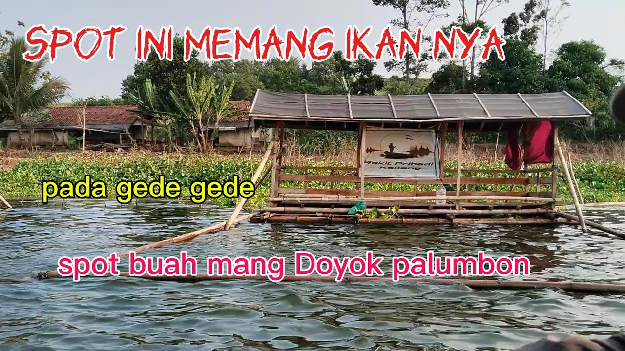 Spot buah mang Doyok palumbon ikan nya besar besar. Mancing terbaru cirtaa