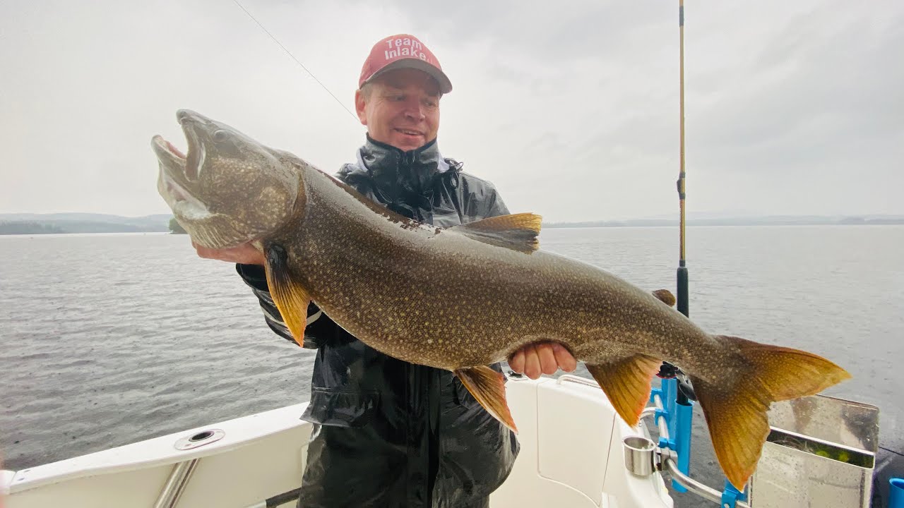 Trolling efter stor kanadaröding 11,6 kg