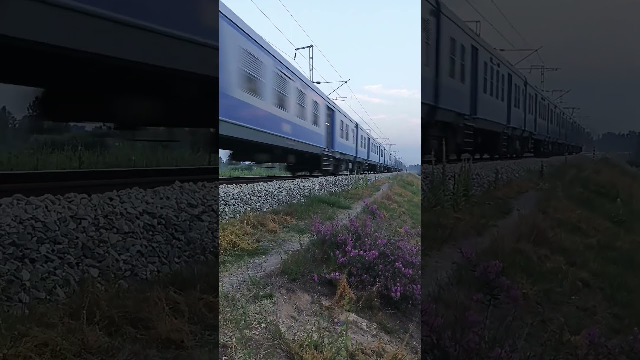 #nature #talkingnature #kashmir #train