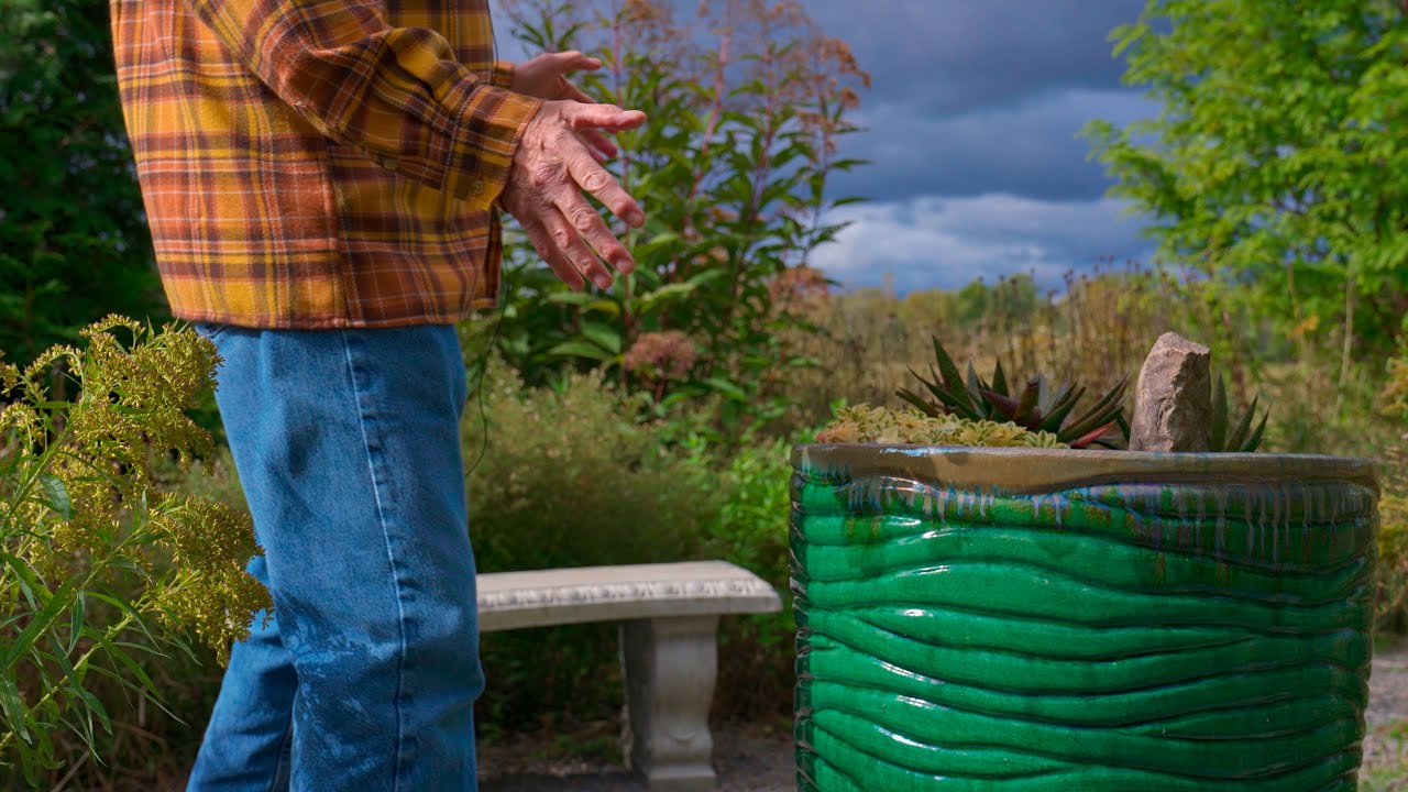 His secret garden with a rewilding backyard