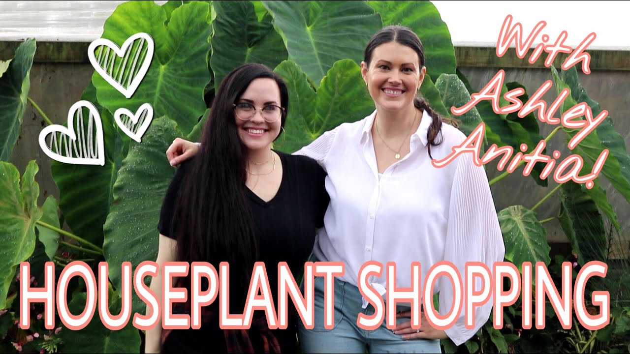 HOUSEPLANT SHOPPING IN CHARLOTTE, NC | CACTUS CLUB & MALONE'S GREENHOUSE