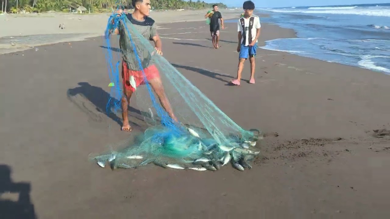 Este pescador saco cientos de peces .. miren que manchas de pescado 🐠🐟
